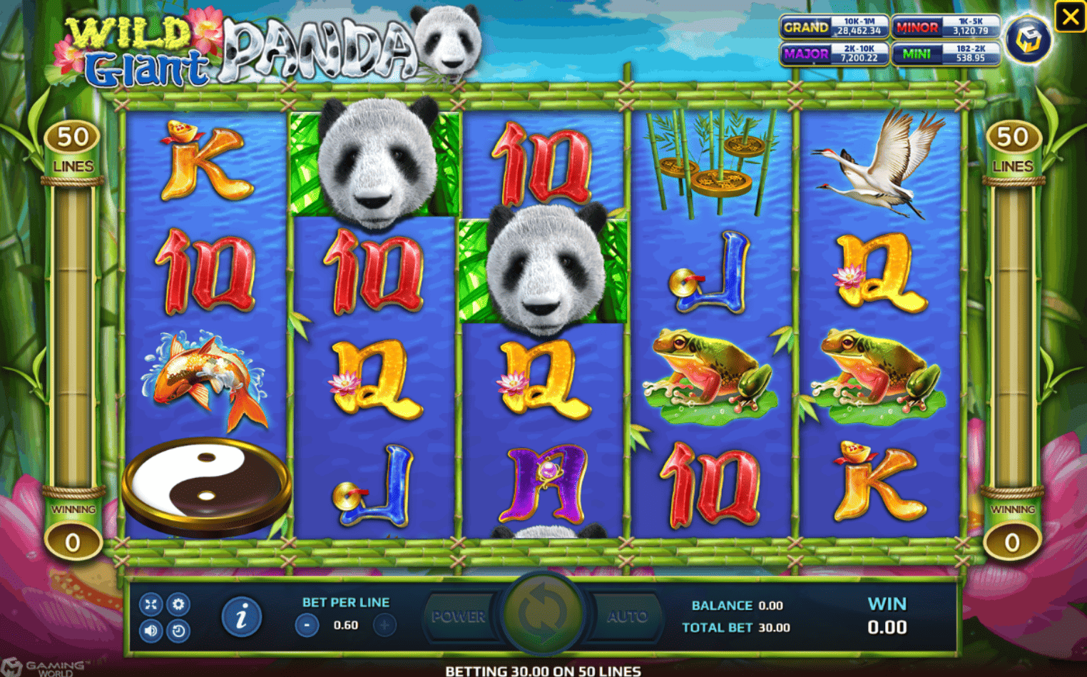 Wild Giant Panda