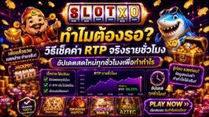 วิธีเช็คค่า RTP จริงรายชั่วโมง ไม่ต้องรอ